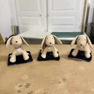 réalisation chien souvenir