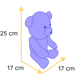 chat souvenir felis (copie)