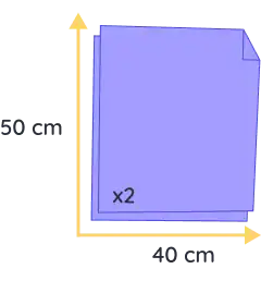 chat souvenir felis (copie)