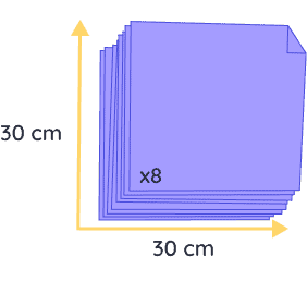 chat souvenir felis (copie)