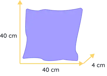 chat souvenir felis (copie)