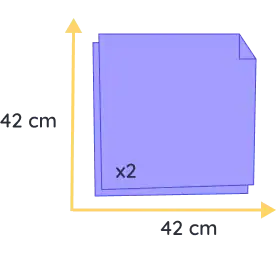 chat souvenir felis (copie)