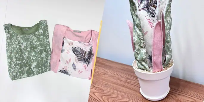 sansevieria avec 2 hauts femme 42 44