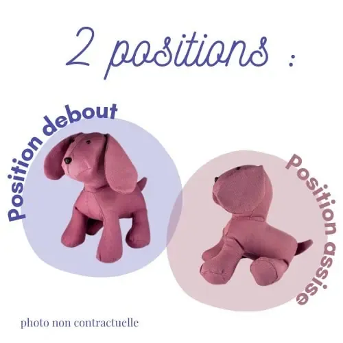 Photos chien souvenir