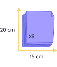 chat souvenir felis (copie)