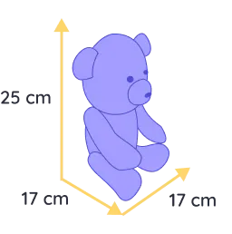 chat souvenir felis (copie)