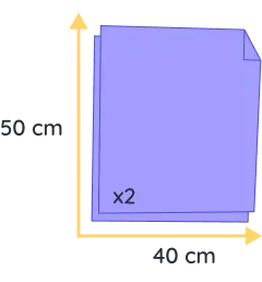 chat souvenir felis (copie)