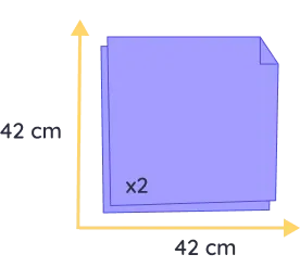 chat souvenir felis (copie)