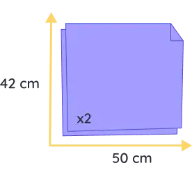 chat souvenir felis (copie)