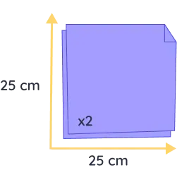 chat souvenir felis (copie)