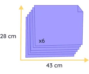 chat souvenir felis (copie)