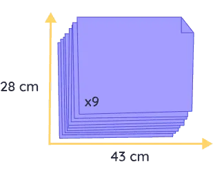 chat souvenir felis (copie)