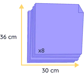 chat souvenir felis (copie)