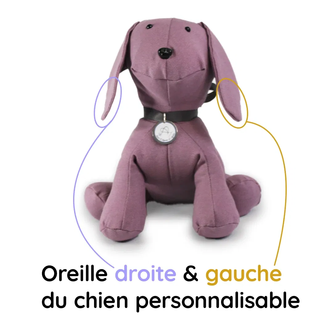 canis hoover personnalisation droite gauche 2