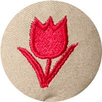 tulipe